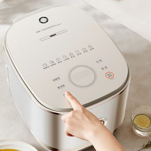 Advantages of professional-grade rice cookers