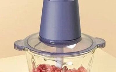 An article to understand the relationship between the performance and price of electric meat grinders