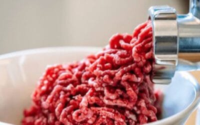 Picadora de carne multifuncional: una herramienta para mejorar la eficiencia en la cocina, los minoristas no deben perdérsela